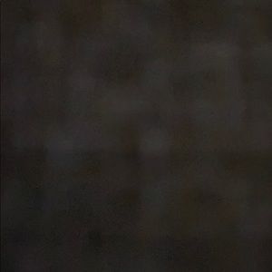 Meet your Posher, Shelby